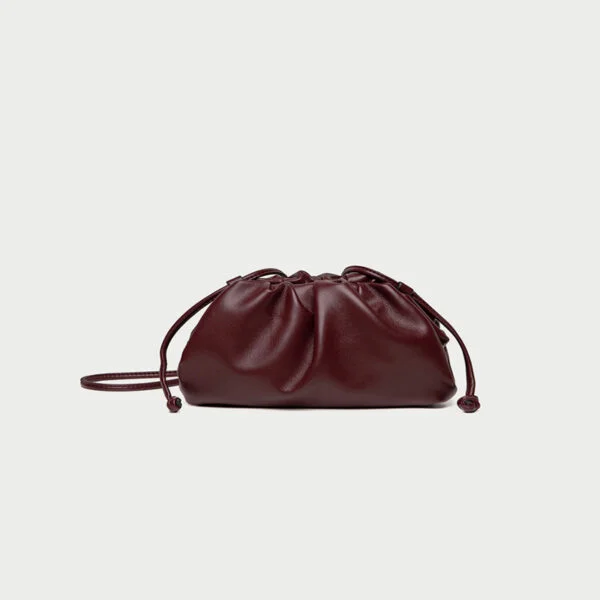 Yunduo Women's Niche Pleated Bag - Image 10