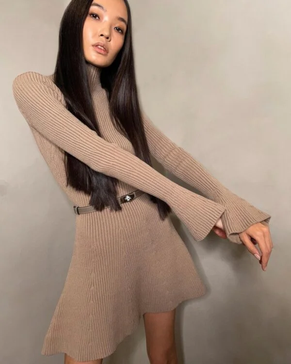 Autumn And Winter Long Sleeves Solid Color Top Turtleneck Sweater High Waist Tight Short Knitted A- Line Dress - Image 7