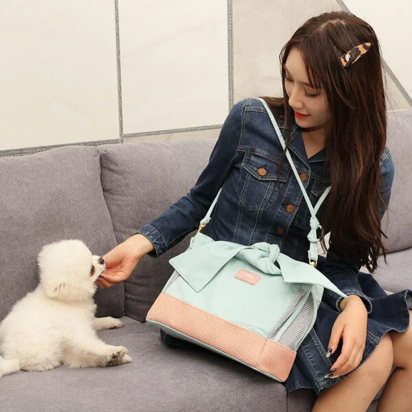 Fashionable And Simple Go Out Portable Pet Shoulder Bag - Image 3