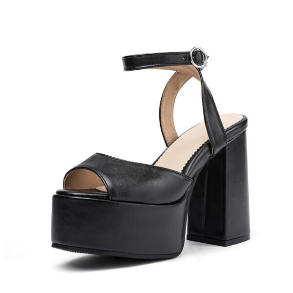 Women's Plus Size Chunky Heel High Heel Sandals - Image 6