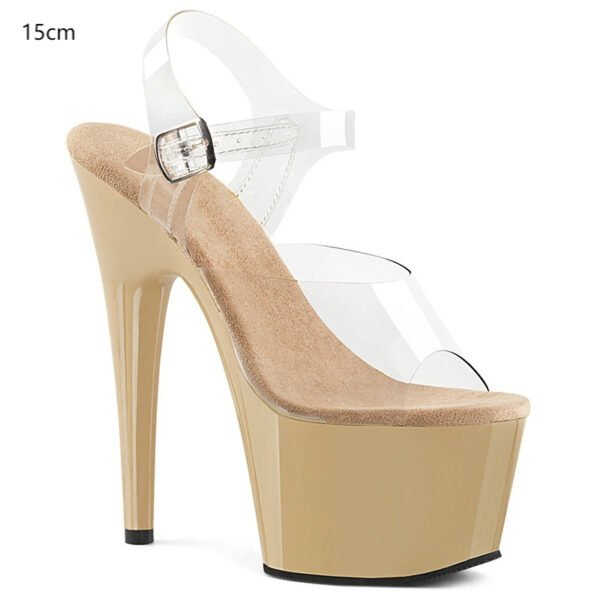 17cm Stiletto Heel Pole Dance Shoes Buckle Peep Toe Sandals Waterproof Platform Night Show Catwalk Show High Heels - Image 3